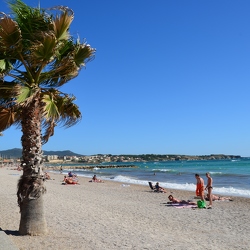 Plage de Six Fours (début...)