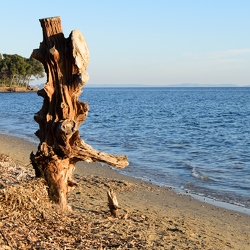 Plage des Salins à Noël