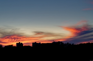 DSC 5186 DxO